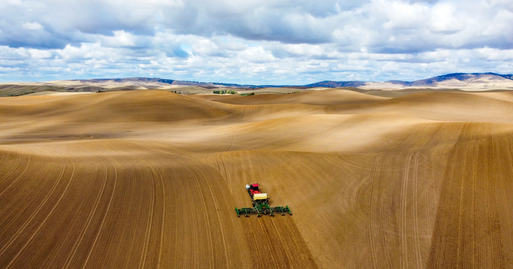 From Our Farm to Your Table